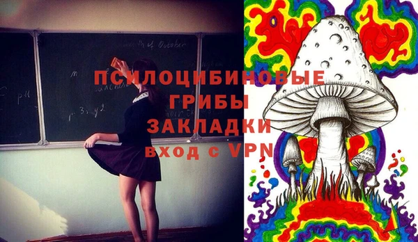сатива Магас