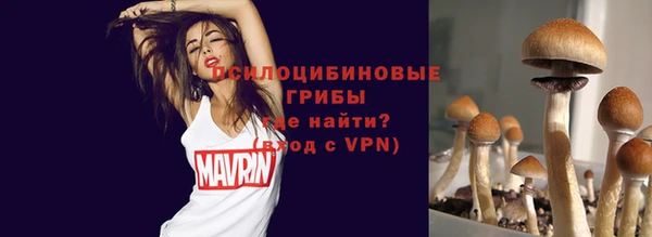 крисы Майский