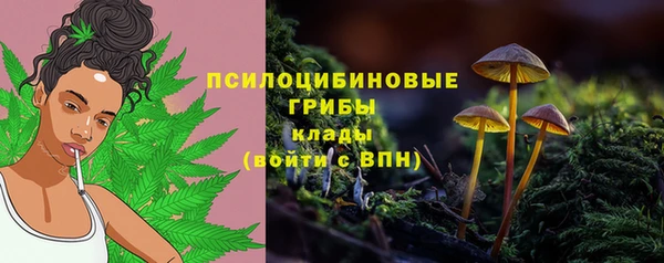сатива Магас