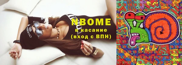 крисы Майский