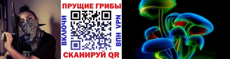 Галлюциногенные грибы Psilocybe  где купить наркотик  blacksprut tor  Долгопрудный 