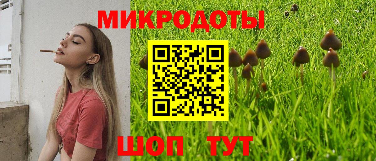 Псилоцибиновые грибы Cubensis  Долгопрудный  Галлюциногенные грибы мухоморы 