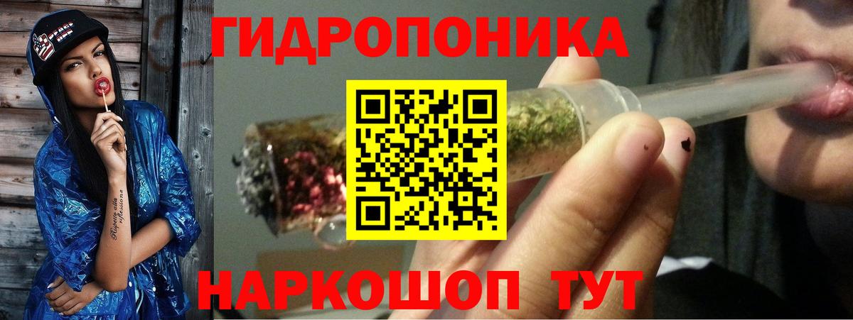 Бошки марихуана OG Kush Долгопрудный